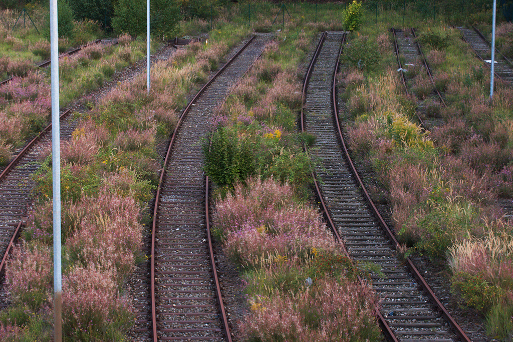 The Landscape and The Light: leeming + paterson