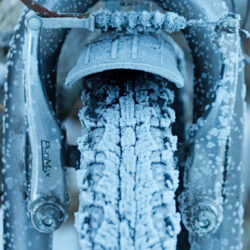 Icycle V