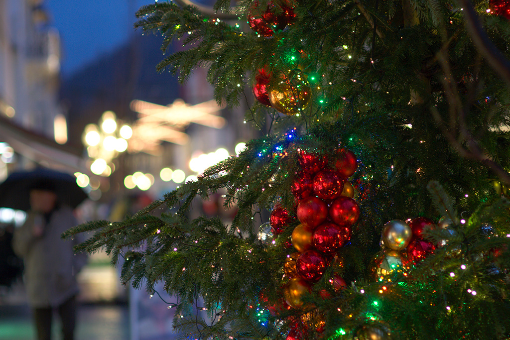 Wet, Vivid Christmas