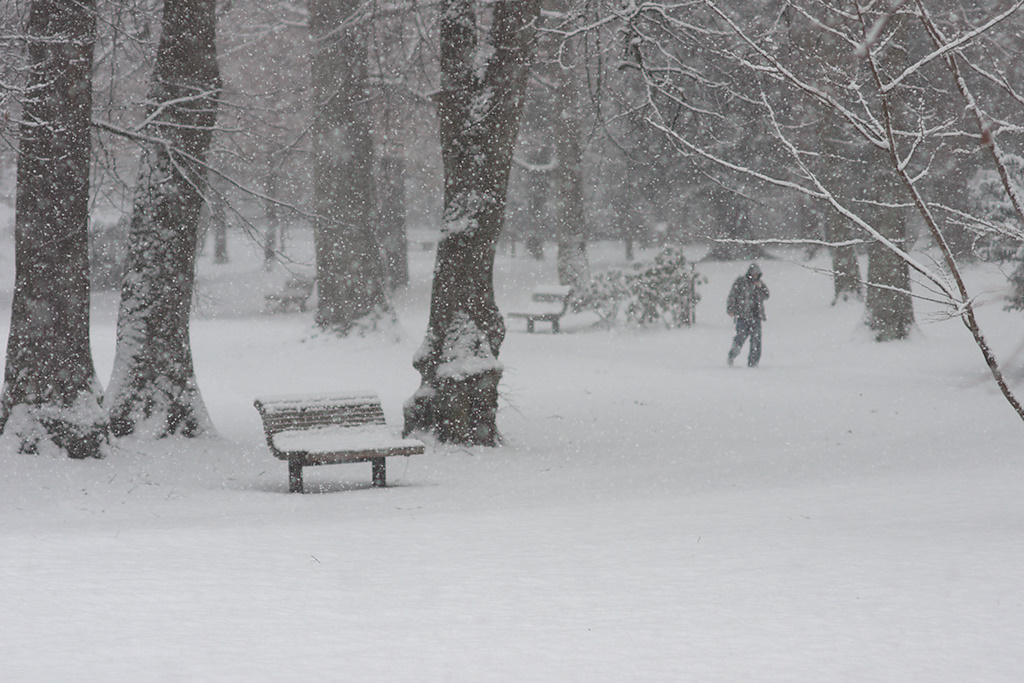 Benches, Snow(2). Tagged with 