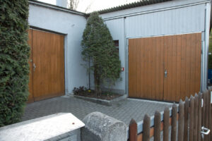 Cornered Thuja