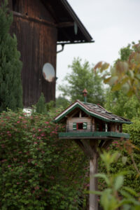 Rustic Garden