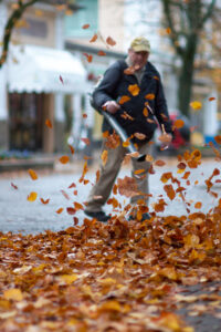 Flying Leaves, Bavaria