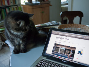 Click to enlarge: Marshall watching