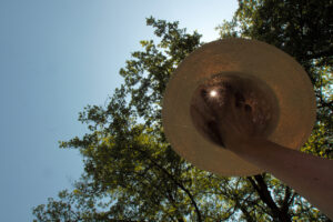 Click to enlarge: Hat Shot