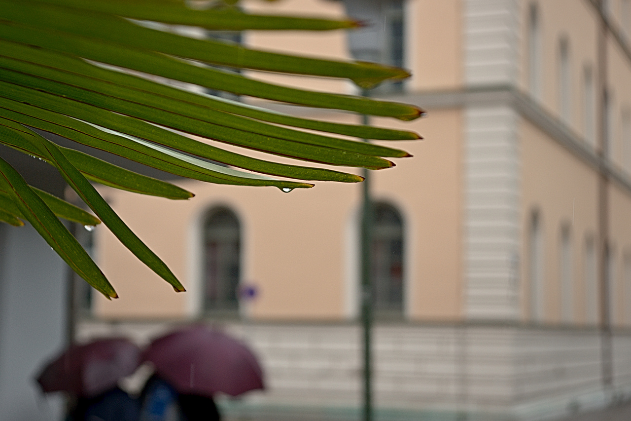 . Tagged with Scott Kelby Photowalk 2010