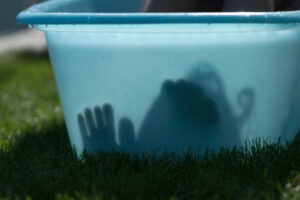 Click to enlarge: dsc40037bb.jpg