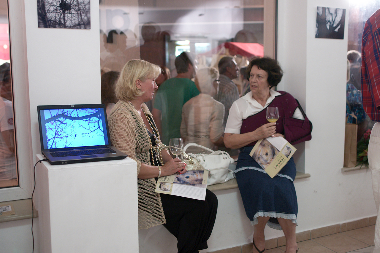 Click to enlarge: dsc40280bb.jpg. Tagged with