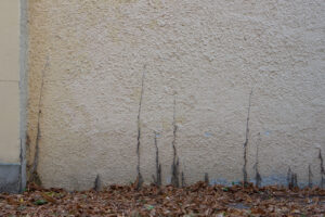 Click to enlarge: Still Standing [f/6.3, 1/25 sec, at 55mm, 200 ISO, on a DSLR-A700]
