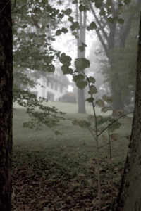 Click to enlarge: /home/springm/Bilder/2010/2010-10/dsc41603b.jpg