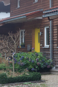 Click to enlarge: Yellow Door