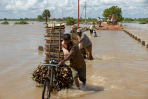 Click to enlarge: Crossing The Culvert [f/4.5, 1/2000 sec, 35mm-e, ISO 200, Sony A700]