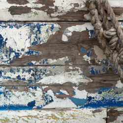 Blue Ship Details