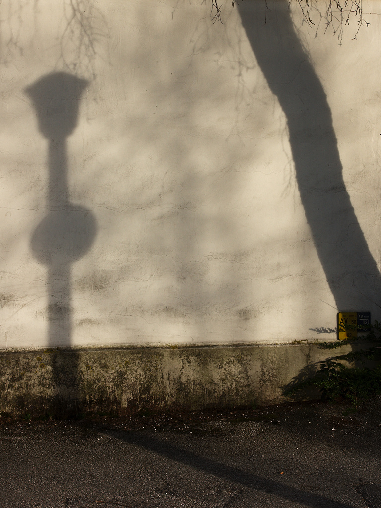 Dialogue Of Shadows . Tagged with