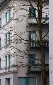 Click to enlarge: City Tree VI [f/8, 1/30 sec, 60mm-e, ISO 800, Sony A700]