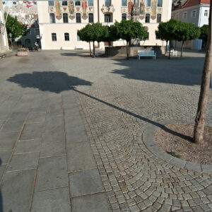 Long Shadows