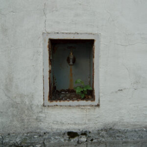 Click to enlarge: Water Brings Life [f/5, 1/100 sec, 5mm-e, ISO 100, DMC-LX3]
