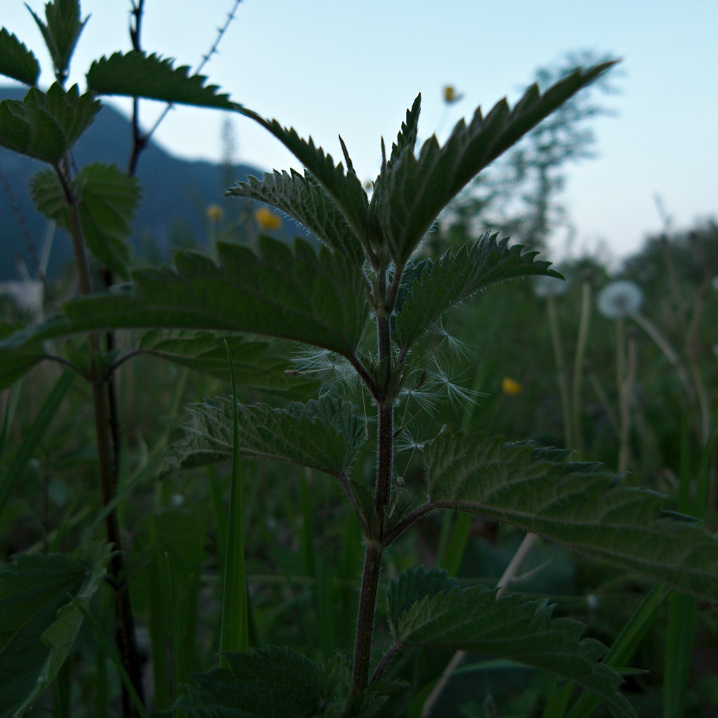 p1000549b. Tagged with