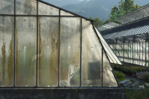 Greenhouse 1