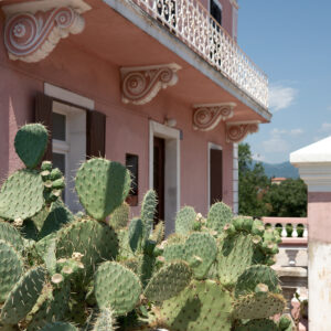 Opuntia, House