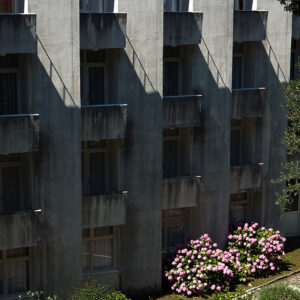 Hydrangeas, Hotel