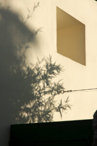Shadows Of Life