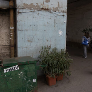 Underpass Oleander