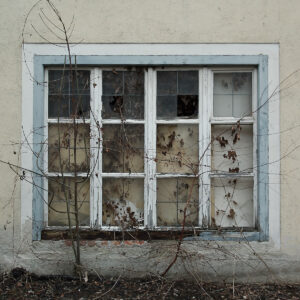 Window, Weeds