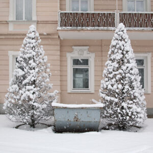 Snowy Triad