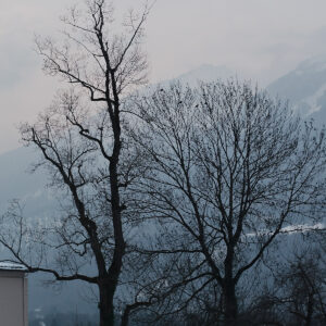 Click to enlarge: Birds [f/5, 1/100 sec, 90mm-e, ISO 250, DMC-G3]