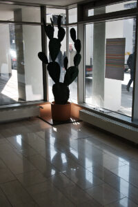 Click to enlarge: Urban Opuntia [f/7.1, 1/100 sec, 40mm-e, ISO 160, DMC-G3]