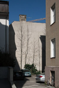 Click to enlarge: Bare Tree Backyard [f/7.1, 1/1300 sec, 40mm-e, ISO 160, DMC-G3]