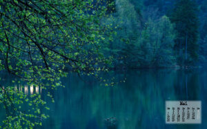 Click to enlarge: spring2life_may12_128x800