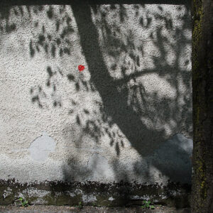 Red Dot