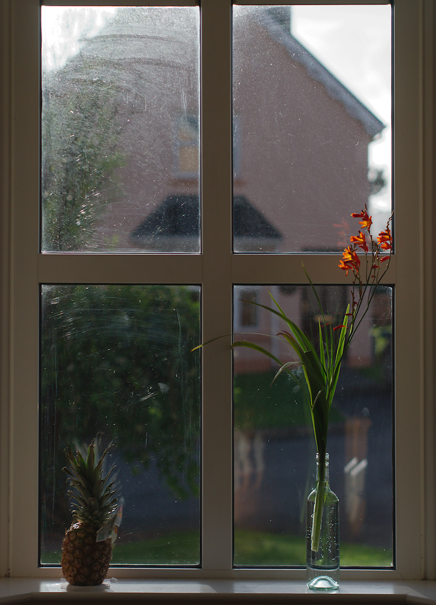 . Tagged with Subject, Window