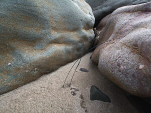 Beach Rocks