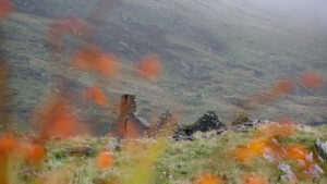 Lilies And A Ruin