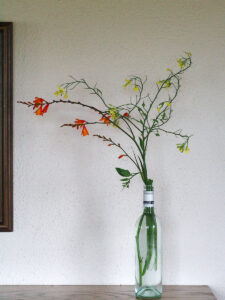 Cottage Decoration