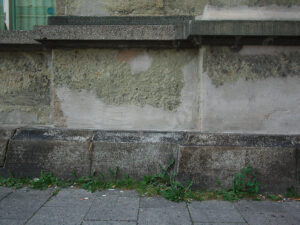 Foundation, Weeds