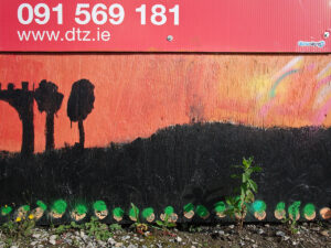dtz.ie, Weeds