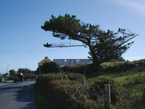 West Wind Indicator