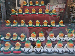 Demotic Ducks