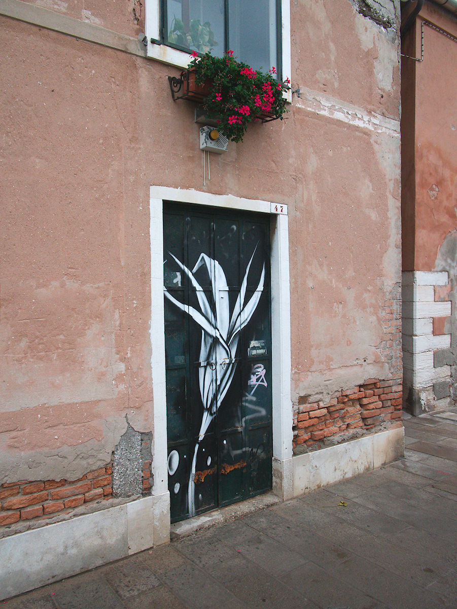 Same Flower, Different Wall