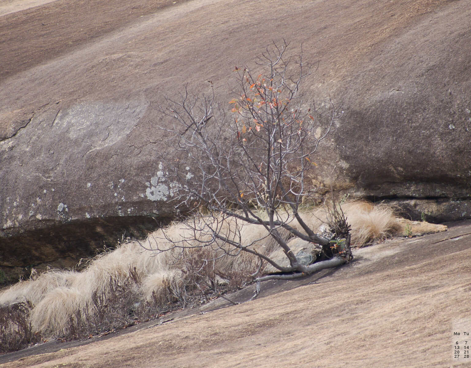 May Wallpapers – Post No. 2000