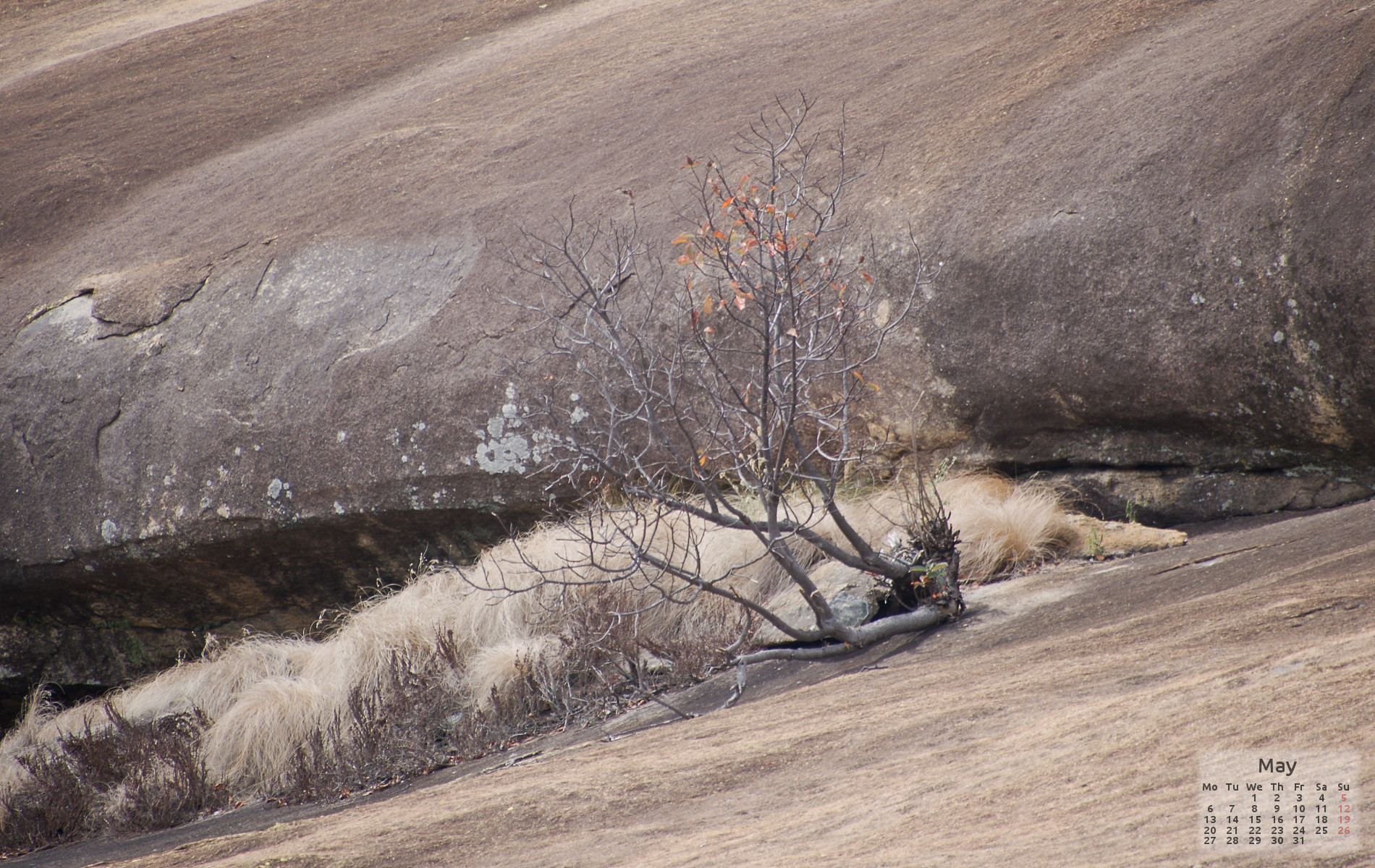 May Wallpapers – Post No. 2000