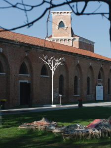 A Tree With A Purpose