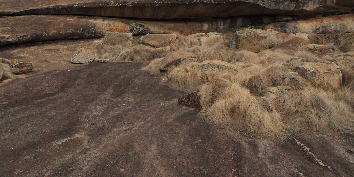 Hidden In Plain Sight