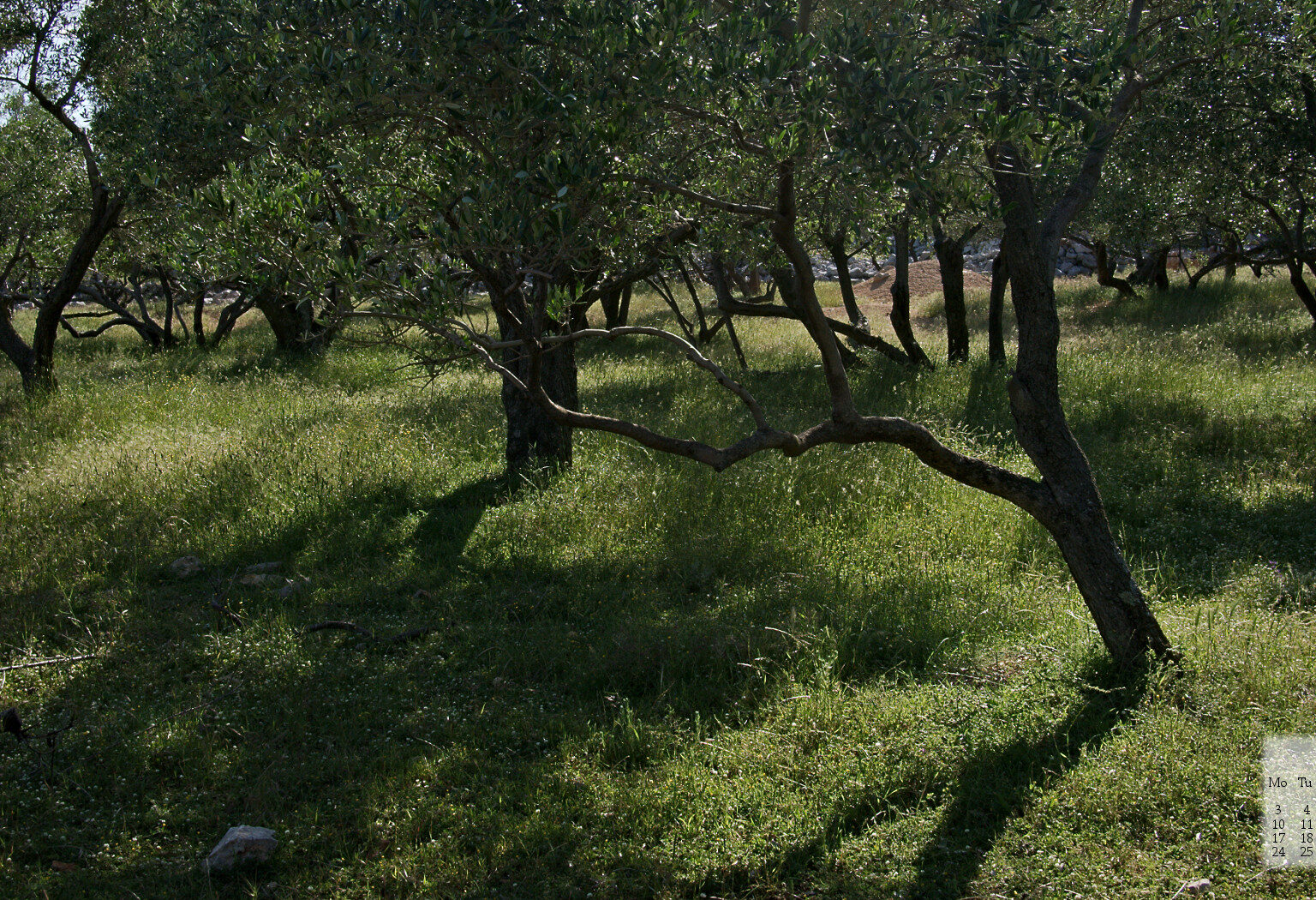 June Wallpapers – Cliché Alert