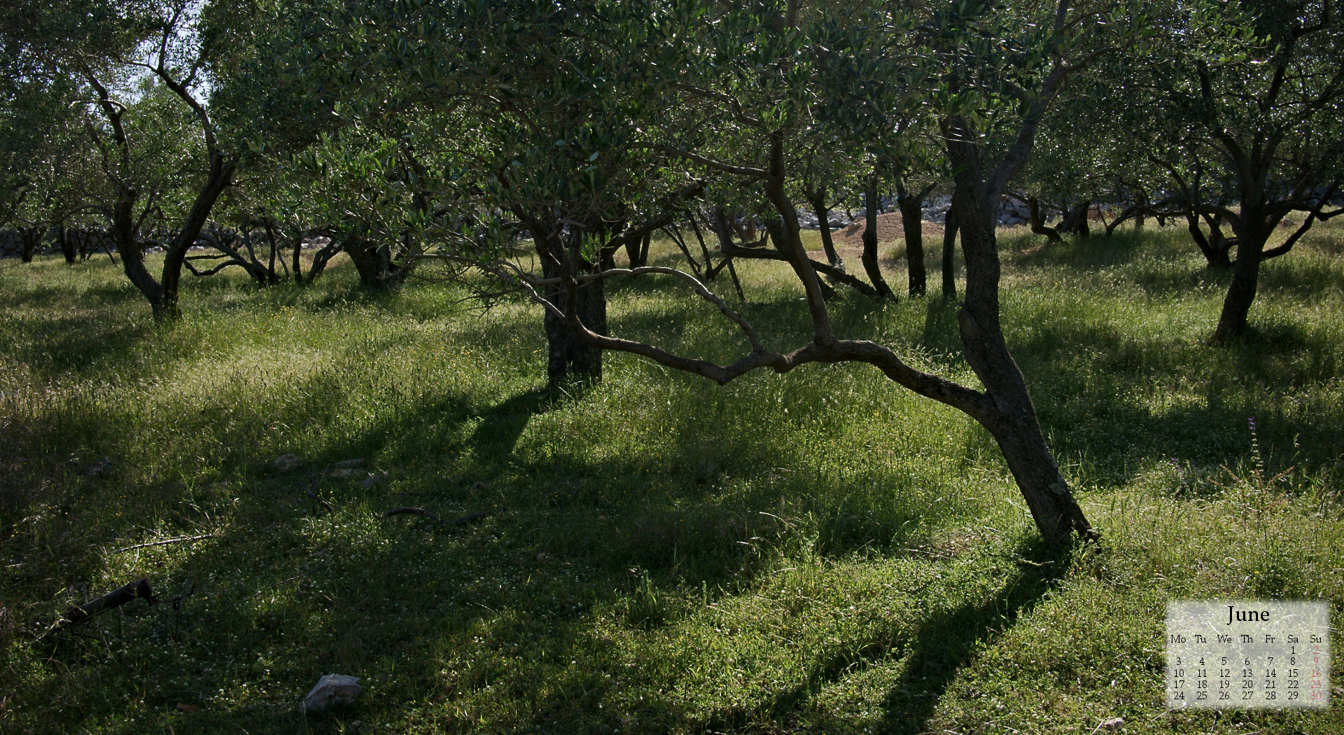 June Wallpapers – Cliché Alert