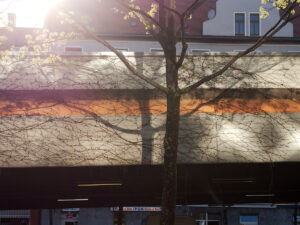 Backlight Is Good Light